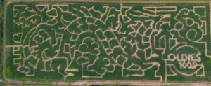 Image of Large Dragon Maze